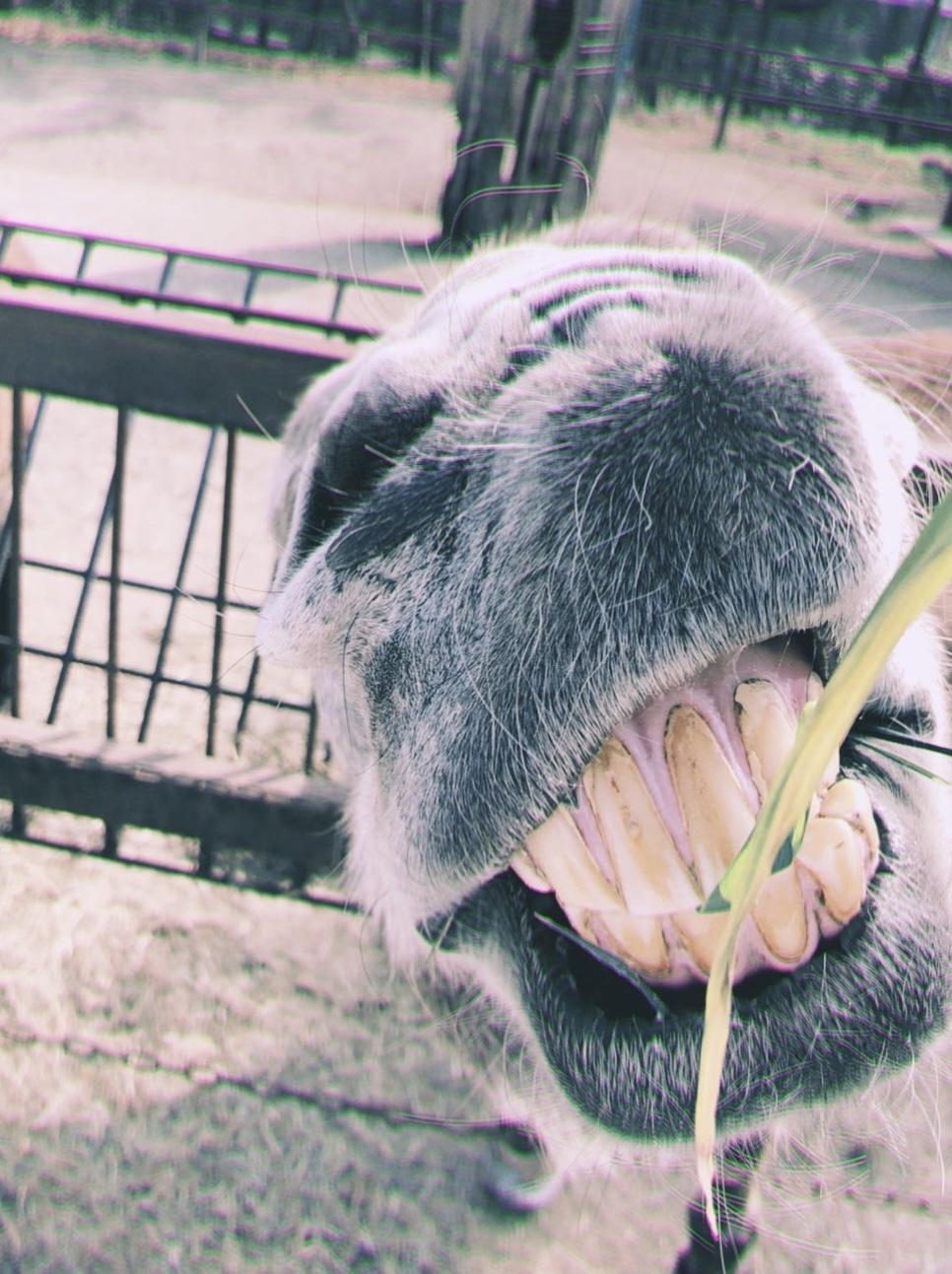 あ