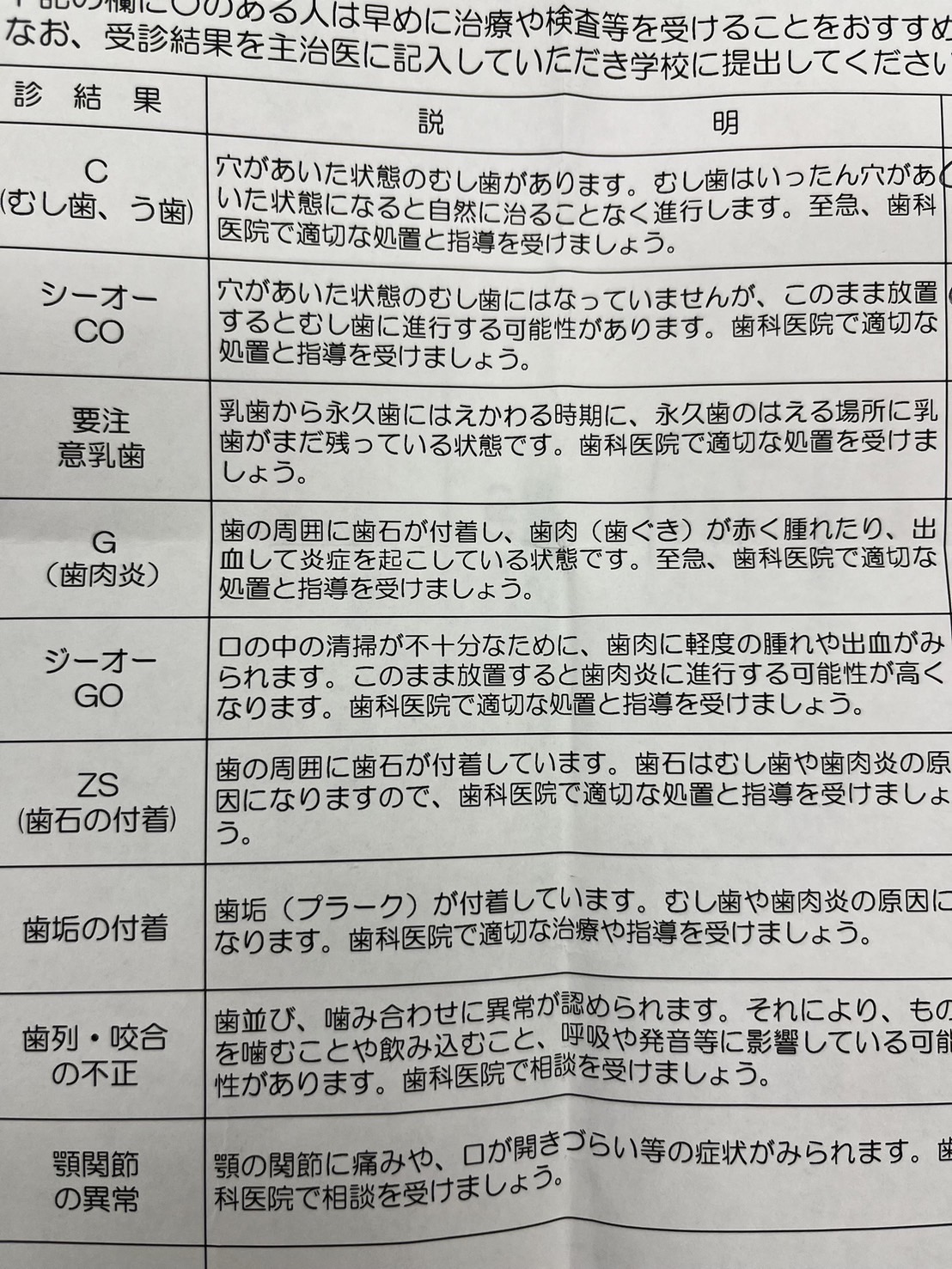 紙