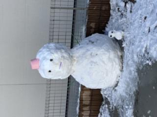 雪だるま