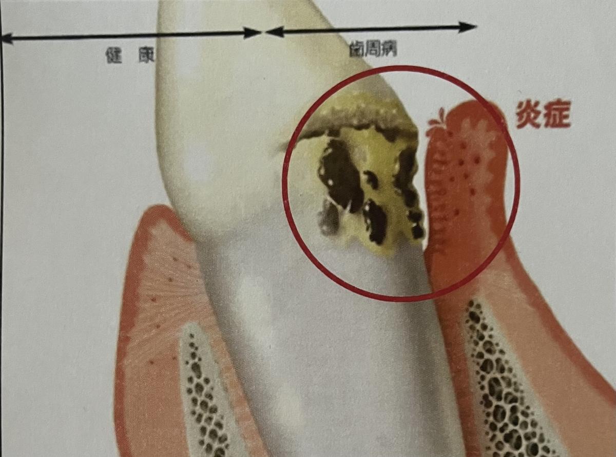 ""__